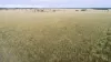 'The Haven' 1164 Moores Bice Road, Drillham, Qld 4424-Image