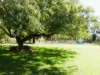 'The Haven' 1164 Moores Bice Road, Drillham, Qld 4424-Image