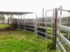 'The Haven' 1164 Moores Bice Road, Drillham, Qld 4424-Image