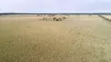 'The Haven' 1164 Moores Bice Road, Drillham, Qld 4424-Image