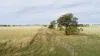 'The Haven' 1164 Moores Bice Road, Drillham, Qld 4424-Image