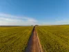 Two Hills/616 Stock Road, Jerramungup WA 6337-Image