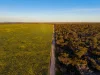 Two Hills/616 Stock Road, Jerramungup WA 6337-Image