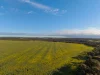 Two Hills/616 Stock Road, Jerramungup WA 6337-Image