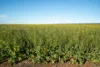 Two Hills/616 Stock Road, Jerramungup WA 6337-Image