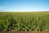 Two Hills 616 Stock Road, Jerramungup, WA 6337-Image