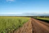 Two Hills/616 Stock Road, Jerramungup WA 6337-Image