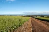 Two Hills 616 Stock Road, Jerramungup, WA 6337-Image