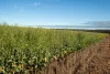 Two Hills 616 Stock Road, Jerramungup, WA 6337-Image