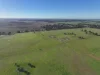 'Udahvale' 1012 Cattles Lane, West Wyalong, NSW 2671-Image