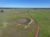 'Udahvale' 1012 Cattles Lane, West Wyalong, NSW 2671-Image