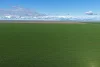 . Waiwera Lane, Bellata, NSW 2397-Image