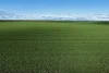 . Waiwera Lane, Bellata, NSW 2397-Image
