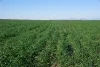 . Waiwera Lane, Bellata, NSW 2397-Image