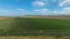 "Wanstead" 391 Cudmore Road, Cambooya QLD 4358-Image