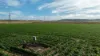 "Wanstead" 391 Cudmore Road, Cambooya QLD 4358-Image