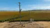 "Wanstead" 391 Cudmore Road, Cambooya QLD 4358-Image
