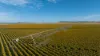 "Wanstead" 391 Cudmore Road, Cambooya QLD 4358-Image