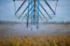 "Wanstead" 391 Cudmore Road, Cambooya QLD 4358-Image