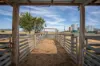 "Wanstead" 391 Cudmore Road, Cambooya QLD 4358-Image