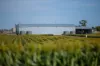 "Wanstead" 391 Cudmore Road, Cambooya QLD 4358-Image