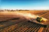 'Wardry' 13132 Lachlan Valley Way, Condobolin NSW 2877-Image