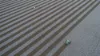 'Wardry' 13132 Lachlan Valley Way, Condobolin NSW 2877-Image