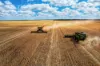 'Wardry' 13132 Lachlan Valley Way, Condobolin NSW 2877-Image