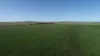 'Wardry' 13132 Lachlan Valley Way, Condobolin NSW 2877-Image