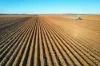 'Wardry' 13132 Lachlan Valley Way, Condobolin NSW 2877-Image