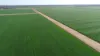'Wardry' 13132 Lachlan Valley Way, Condobolin NSW 2877-Image