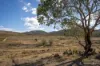 'Warra Creek' 652 Killongbutta Road, Killongbutta via, Bathurst NSW 2795-Image