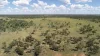 Warrego Butchery & Grazing, Cunnamulla, Qld 4490-Image