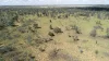 Warrego Butchery & Grazing, Cunnamulla, Qld 4490-Image