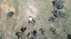 Warrego Butchery & Grazing, Cunnamulla, Qld 4490-Image