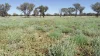 Warrego Butchery & Grazing, Cunnamulla, Qld 4490-Image