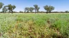 Warrego Butchery & Grazing, Cunnamulla, Qld 4490-Image