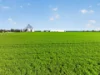 'Watervalley Farm' Broster Road, Maitland SA 5573-Image