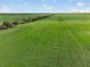 'Watervalley Farm' Broster Road, Maitland SA 5573-Image