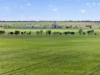 'Watervalley Farm' Broster Road, Maitland SA 5573-Image