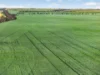 'Watervalley Farm' Broster Road, Maitland SA 5573-Image