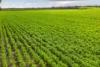 'Watervalley Farm' Broster Road, Maitland SA 5573-Image