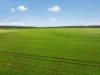 'Watervalley Farm' Broster Road, Maitland SA 5573-Image