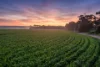 'Watervalley Farm' Broster Road, Maitland SA 5573-Image