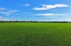 "Wendouree" 2643 Back Trundle Road, Parkes NSW 2870-Image