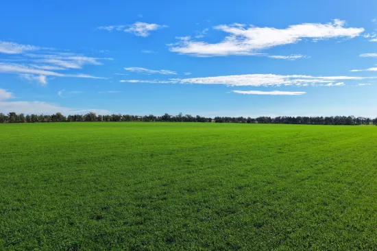 "Wendouree" 2643 Back Trundle Road, Parkes NSW 2870-Image