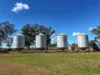 "Wendouree" 2643 Back Trundle Road, Parkes NSW 2870-Image