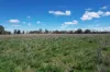 "Wendouree" 2643 Back Trundle Road, Parkes NSW 2870-Image