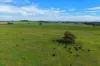 "Wendouree" 2643 Back Trundle Road, Parkes NSW 2870-Image