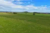 "Wendouree" 2643 Back Trundle Road, Parkes NSW 2870-Image